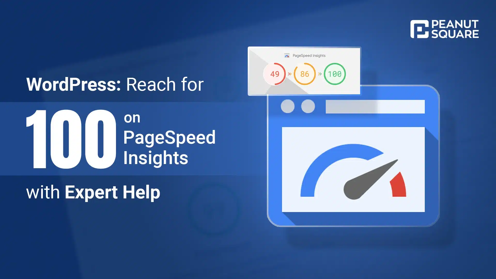 WordPress: 100 Score on Google PageSpeed Insights 2024