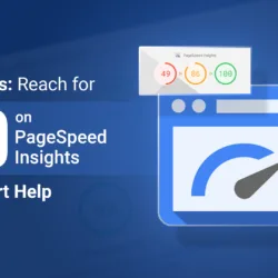 WordPress Reach for 100 on PageSpeed Insights with Expert Help