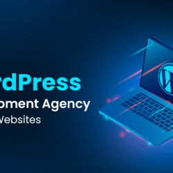 Top WordPress Development Agency for Fast Websites